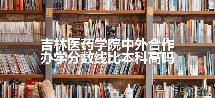 吉林医药学院中外合作办学分数线比本科高吗