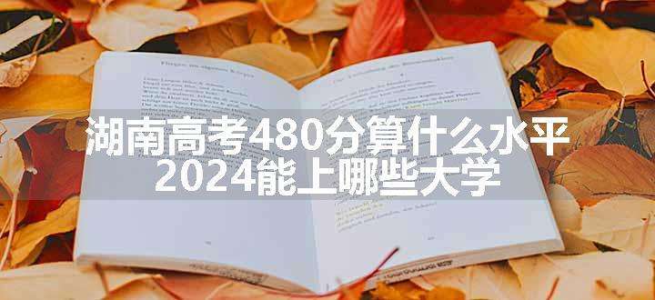 湖南高考480分算什么水平 2024能上哪些大学