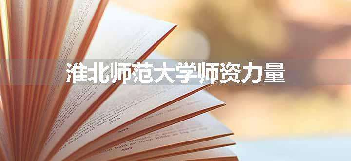 淮北师范大学师资力量