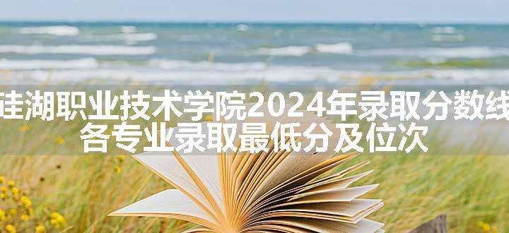 硅湖职业技术学院2024年录取分数线 各专业录取最低分及位次