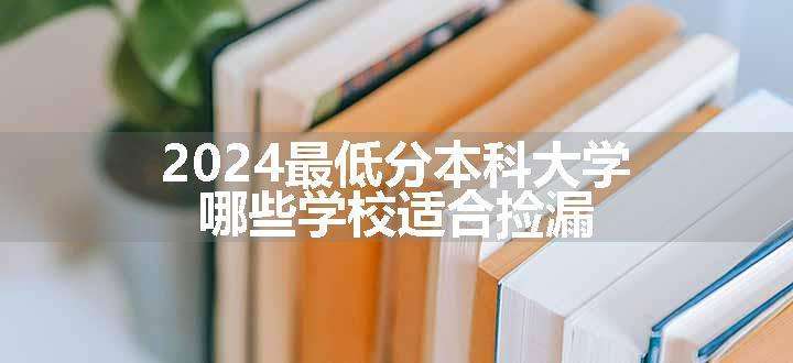 2024最低分本科大学 哪些学校适合捡漏