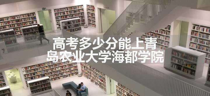 高考多少分能上青岛农业大学海都学院