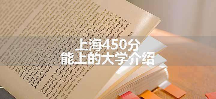 上海450分能上的大学介绍