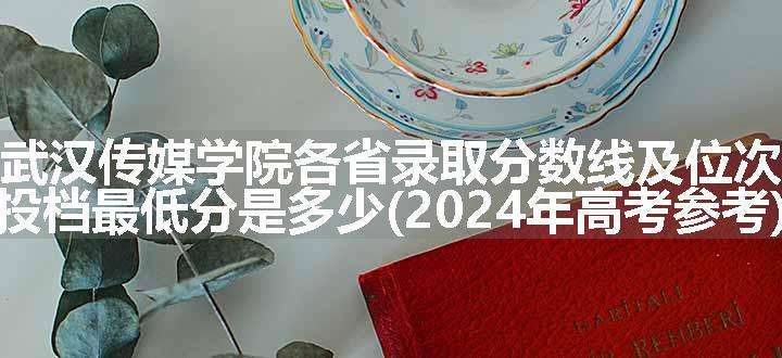 武汉传媒学院各省录取分数线及位次 投档最低分是多少(2024年高考参考)