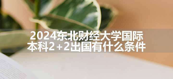 2024东北财经大学国际本科2+2出国有什么条件