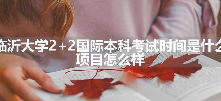 临沂大学2+2国际本科考试时间是什么 项目怎么样