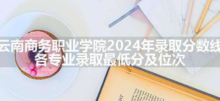 云南商务职业学院2024年录取分数线 各专业录取最低分及位次