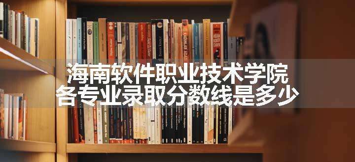 海南软件职业技术学院各专业录取分数线是多少