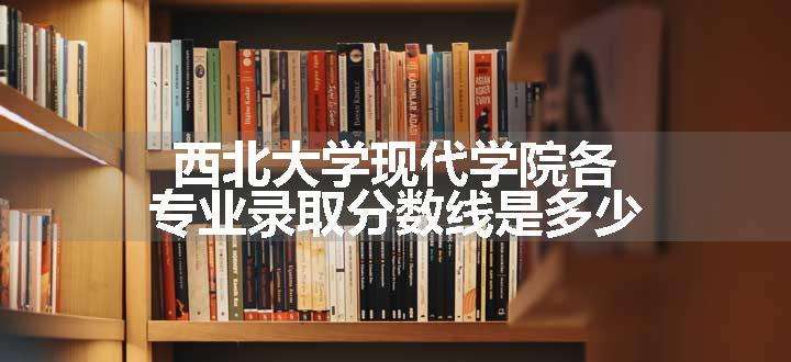 西北大学现代学院各专业录取分数线是多少