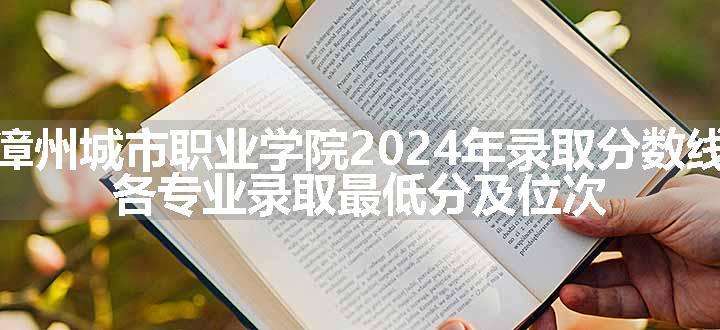 漳州城市职业学院2024年录取分数线 各专业录取最低分及位次