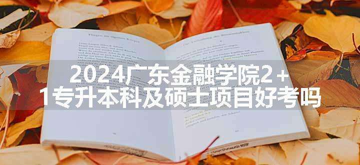 2024广东金融学院2+1专升本科及硕士项目好考吗