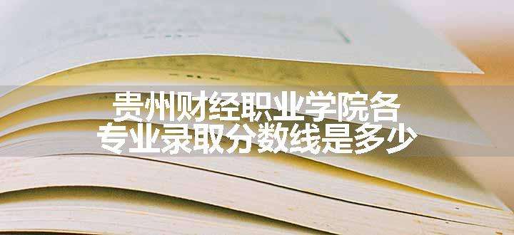 贵州财经职业学院各专业录取分数线是多少