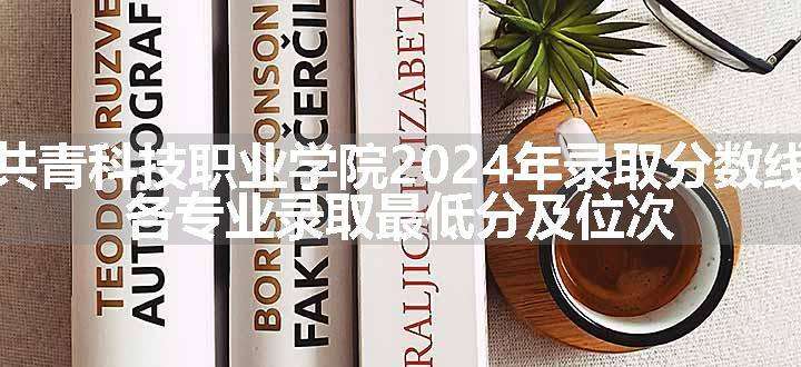 共青科技职业学院2024年录取分数线 各专业录取最低分及位次