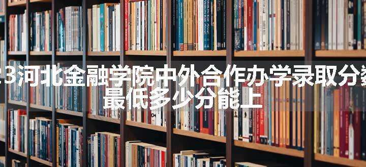 2023河北金融学院中外合作办学录取分数线 最低多少分能上