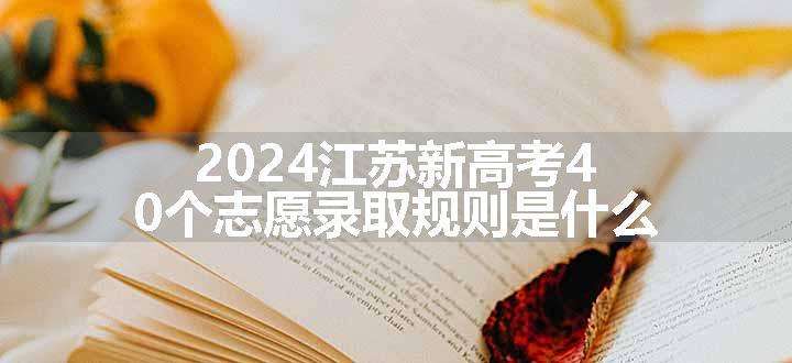 2024江苏新高考40个志愿录取规则是什么