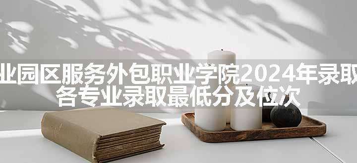 苏州工业园区服务外包职业学院2024年录取分数线 各专业录取最低分及位次