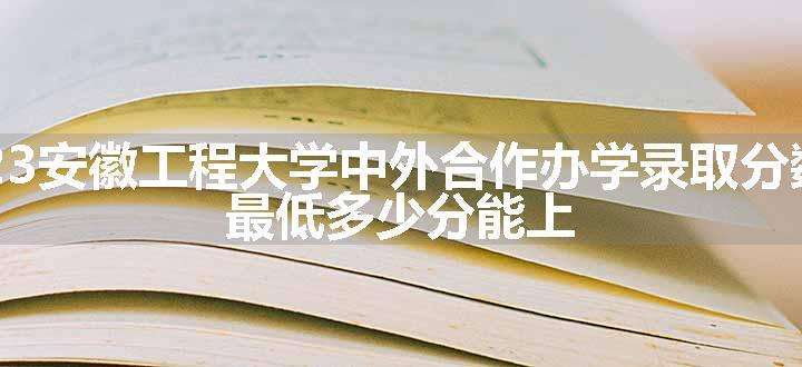 2023安徽工程大学中外合作办学录取分数线 最低多少分能上