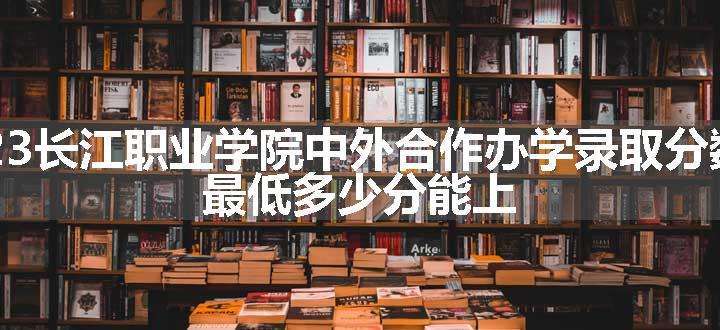 2023长江职业学院中外合作办学录取分数线 最低多少分能上