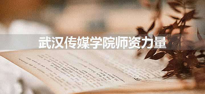 武汉传媒学院师资力量