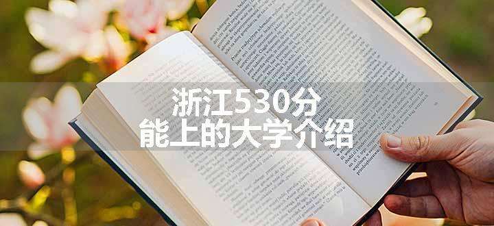 浙江530分能上的大学介绍