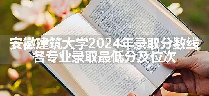 安徽建筑大学2024年录取分数线 各专业录取最低分及位次