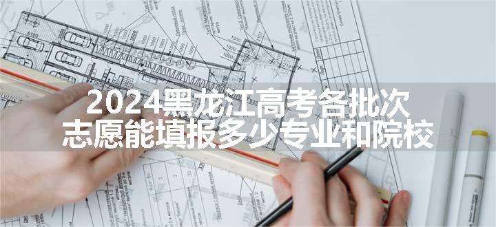 2024黑龙江高考各批次志愿能填报多少专业和院校