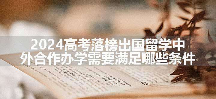 2024高考落榜出国留学中外合作办学需要满足哪些条件