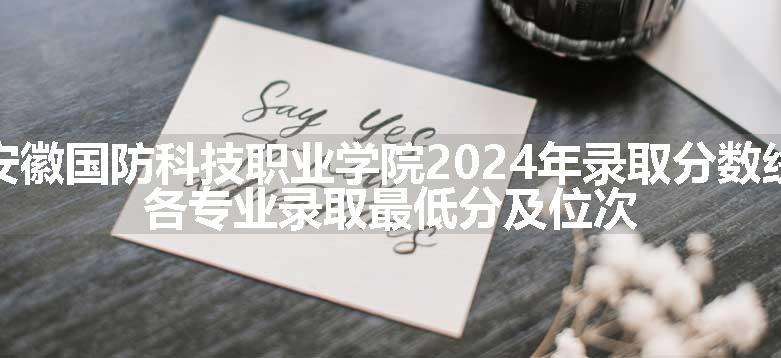 安徽国防科技职业学院2024年录取分数线 各专业录取最低分及位次