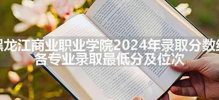 黑龙江商业职业学院2024年录取分数线 各专业录取最低分及位次