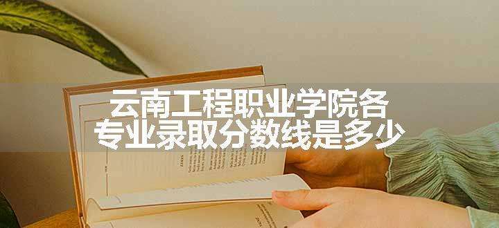 云南工程职业学院各专业录取分数线是多少