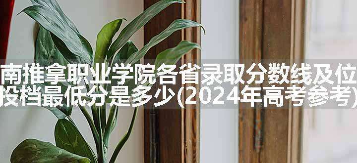 河南推拿职业学院各省录取分数线及位次 投档最低分是多少(2024年高考参考)