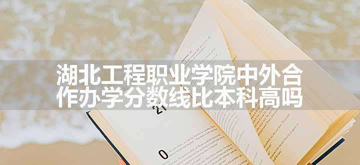 湖北工程职业学院中外合作办学分数线比本科高吗