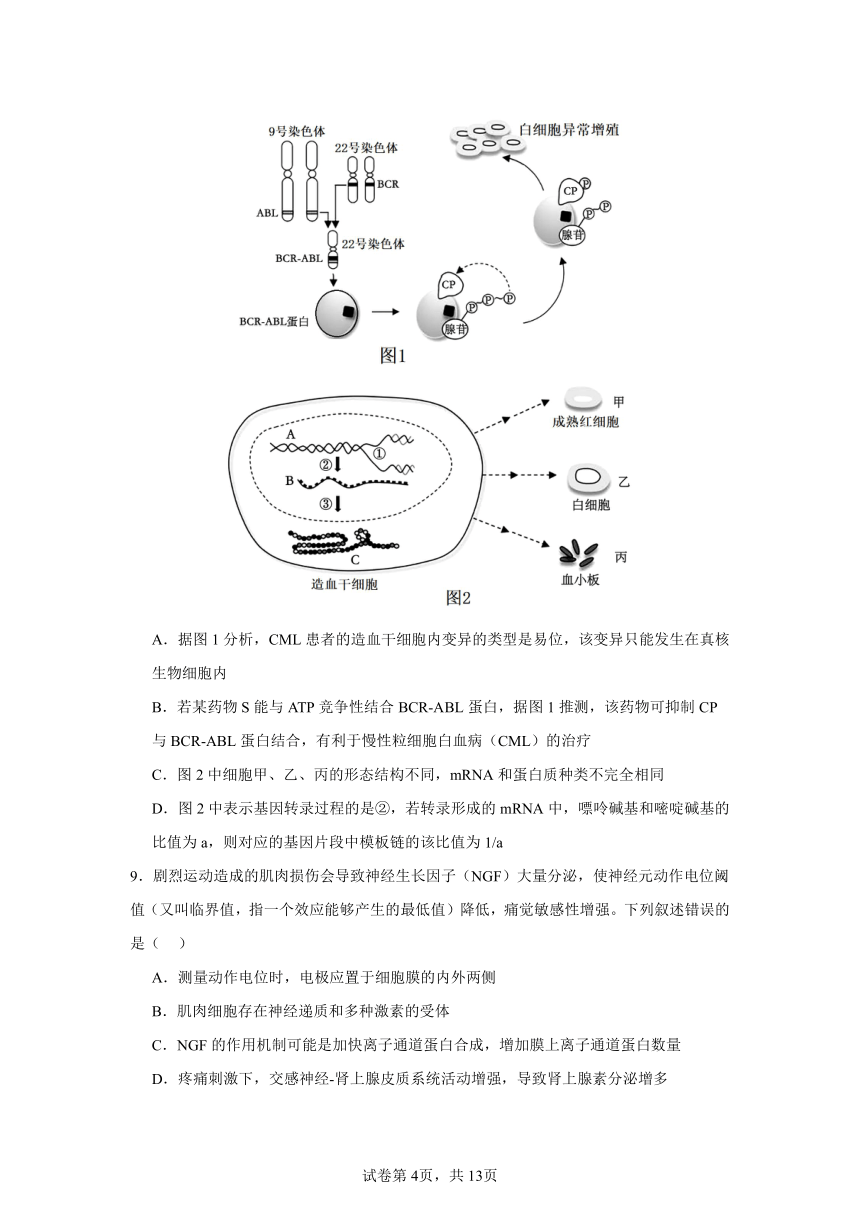 湖南省益阳市安化县第二中学2024年高三生物考前模拟考试（含答案）