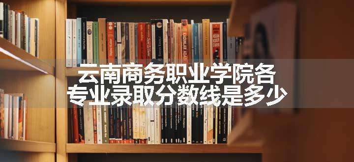 云南商务职业学院各专业录取分数线是多少