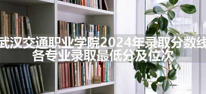 武汉交通职业学院2024年录取分数线 各专业录取最低分及位次