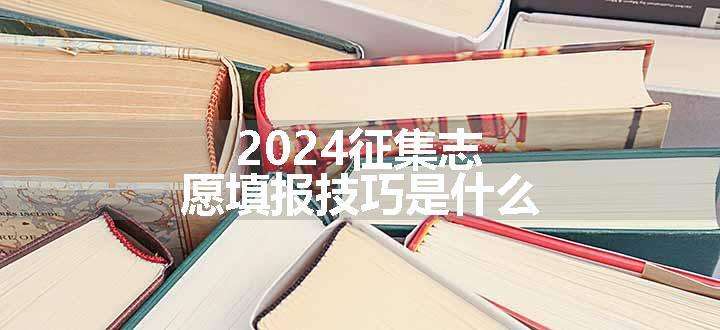 2024征集志愿填报技巧是什么