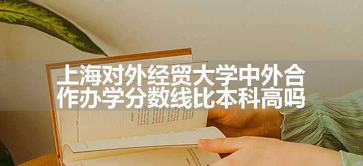 上海对外经贸大学中外合作办学分数线比本科高吗