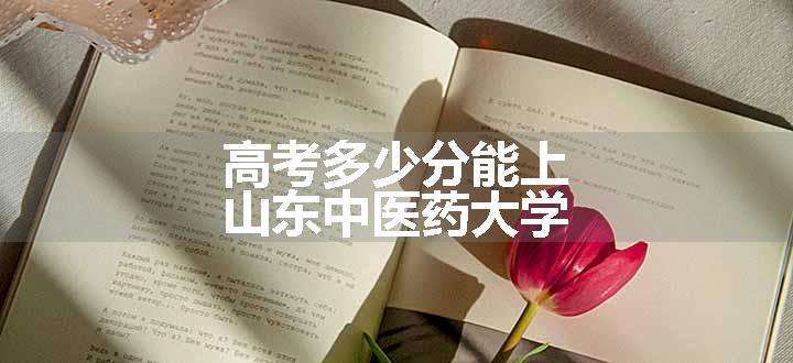 高考多少分能上山东中医药大学