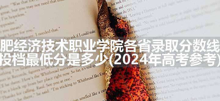 民办合肥经济技术职业学院各省录取分数线及位次 投档最低分是多少(2024年高考参考)