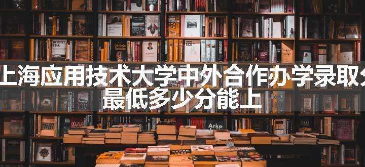 2023上海应用技术大学中外合作办学录取分数线 最低多少分能上