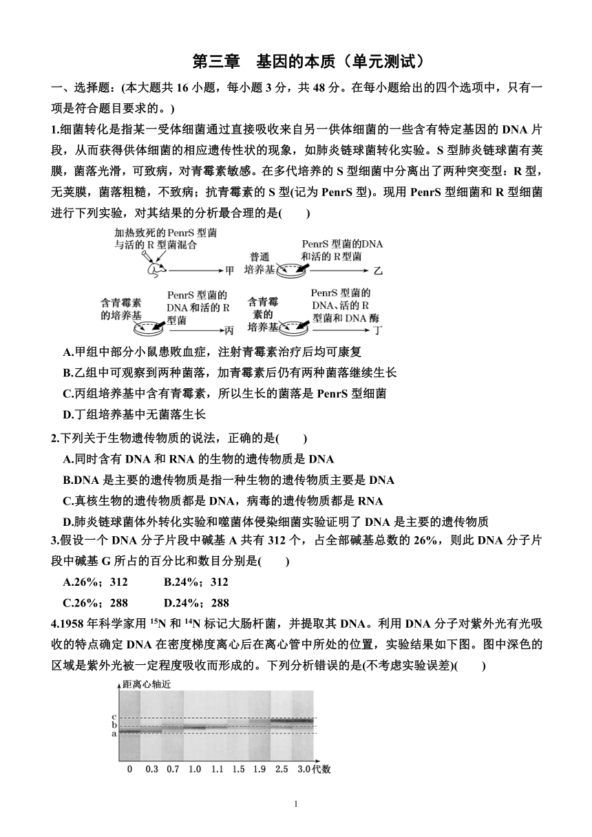 第三章 基因的本质（单元测试）（附答案）—2023-2024学年高一下学期生物必修2（人教版(2019））