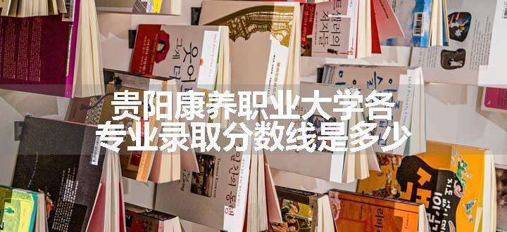 贵阳康养职业大学各专业录取分数线是多少