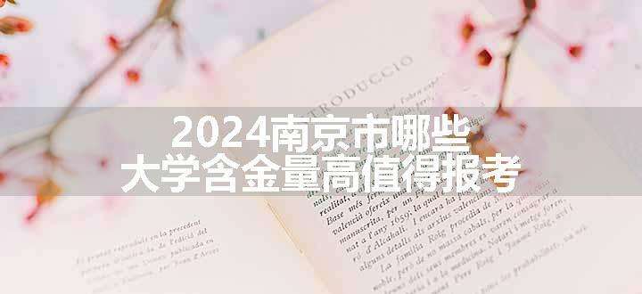 2024南京市哪些大学含金量高值得报考