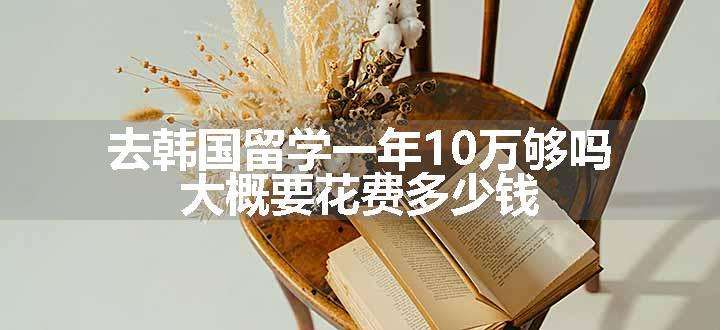 去韩国留学一年10万够吗 大概要花费多少钱