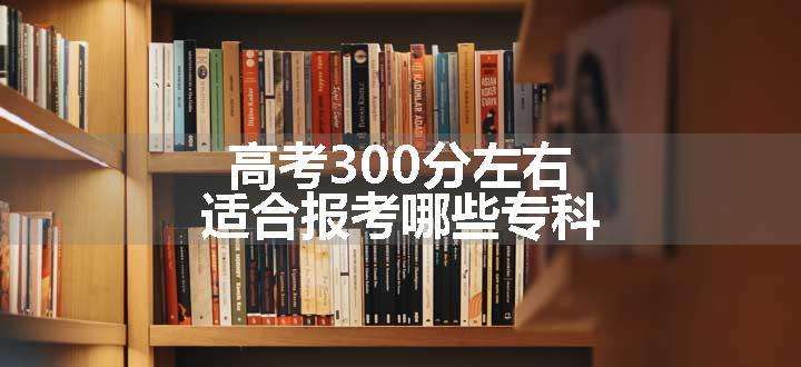 高考300分左右适合报考哪些专科