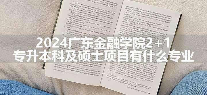 2024广东金融学院2+1专升本科及硕士项目有什么专业