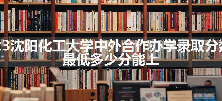 2023沈阳化工大学中外合作办学录取分数线 最低多少分能上