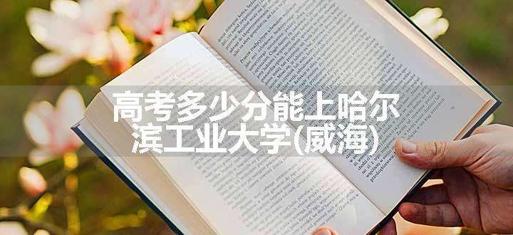 高考多少分能上哈尔滨工业大学(威海)