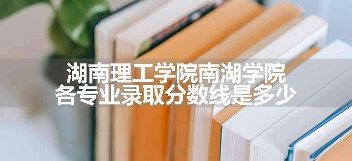 湖南理工学院南湖学院各专业录取分数线是多少