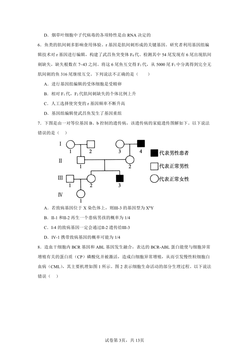 湖南省益阳市安化县第二中学2024年高三生物考前模拟考试（含答案）